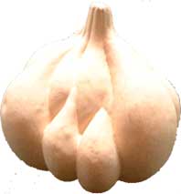 ɂɂ