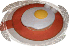 ڋʏĂE܂