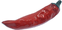 Ƃ炵