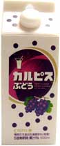 JsXE~j`AL[z_[EԂǂ