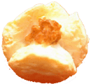 FOODSFOODE`[V[܂