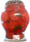 VbvЂ