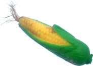 Ƃ낱