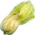 ͂