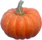 ڂ