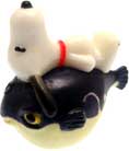 Riӂj